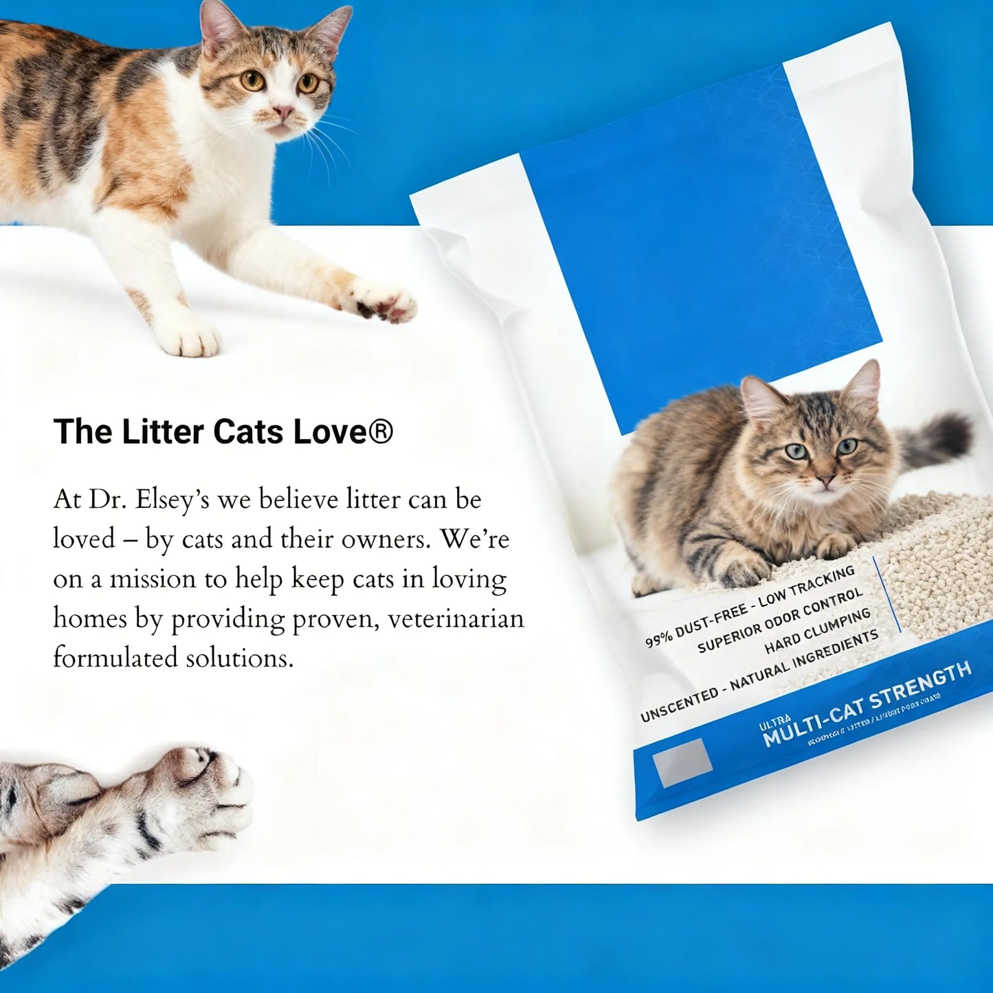 Premium Bentonite Clumping Cat Litter – 99.9% Dust-Free & Vet-Crafted