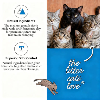 Premium Bentonite Clumping Cat Litter – 99.9% Dust-Free & Vet-Crafted